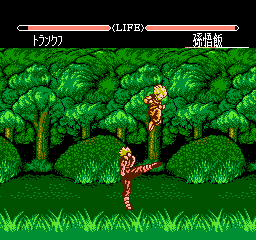 Dragon Ball Z: Super Butouden 2