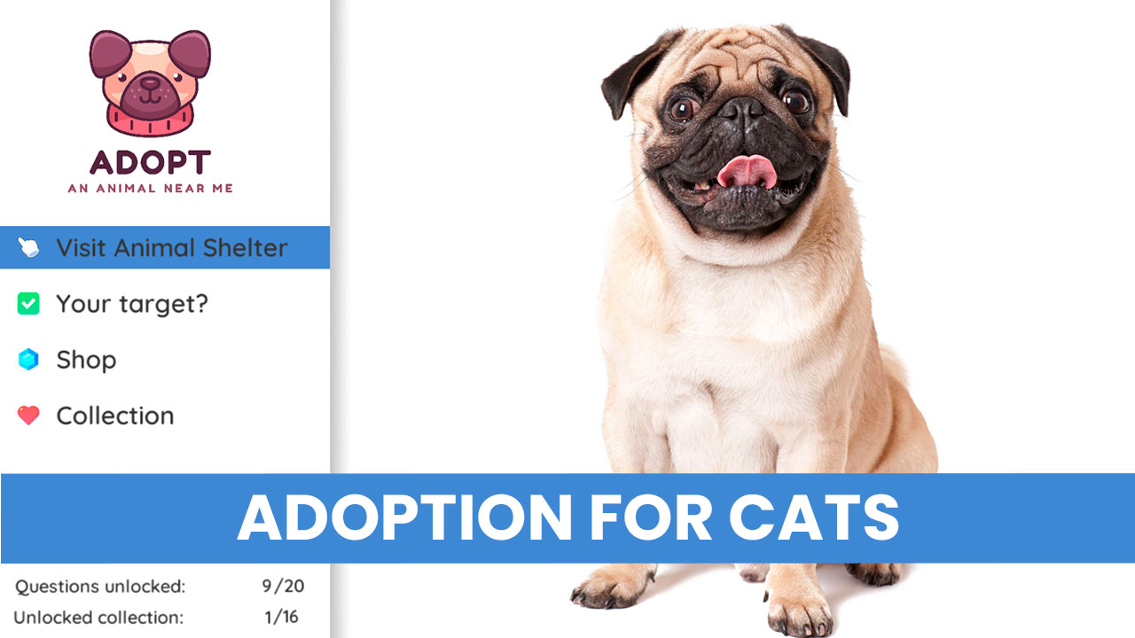 Adopt an Animal Near Me