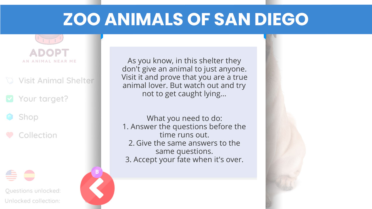 Adopt an Animal Near Me