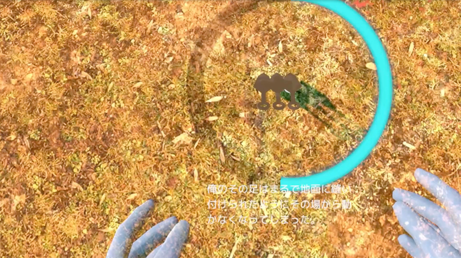 Forbidden Ninja Scroll: Kunoichi Training