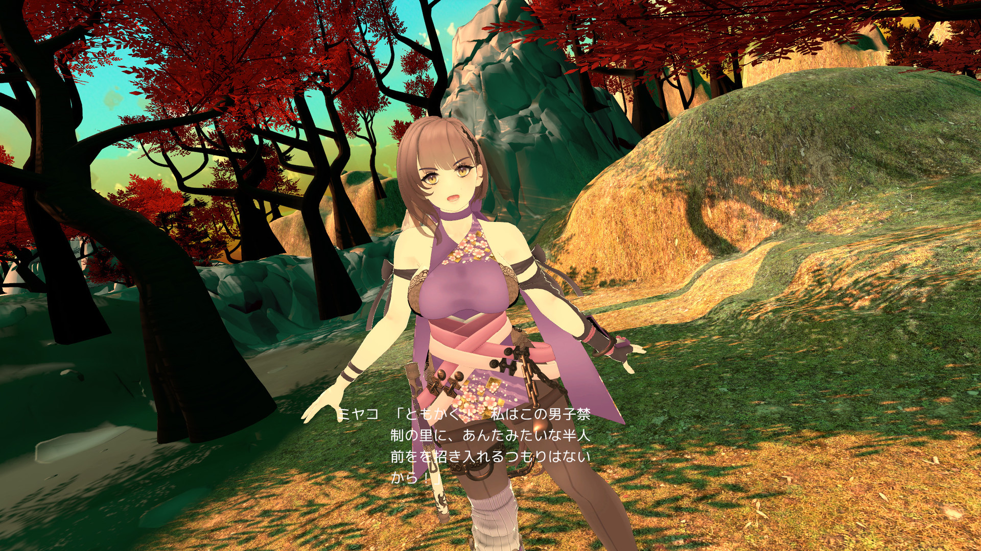 Forbidden Ninja Scroll: Kunoichi Training