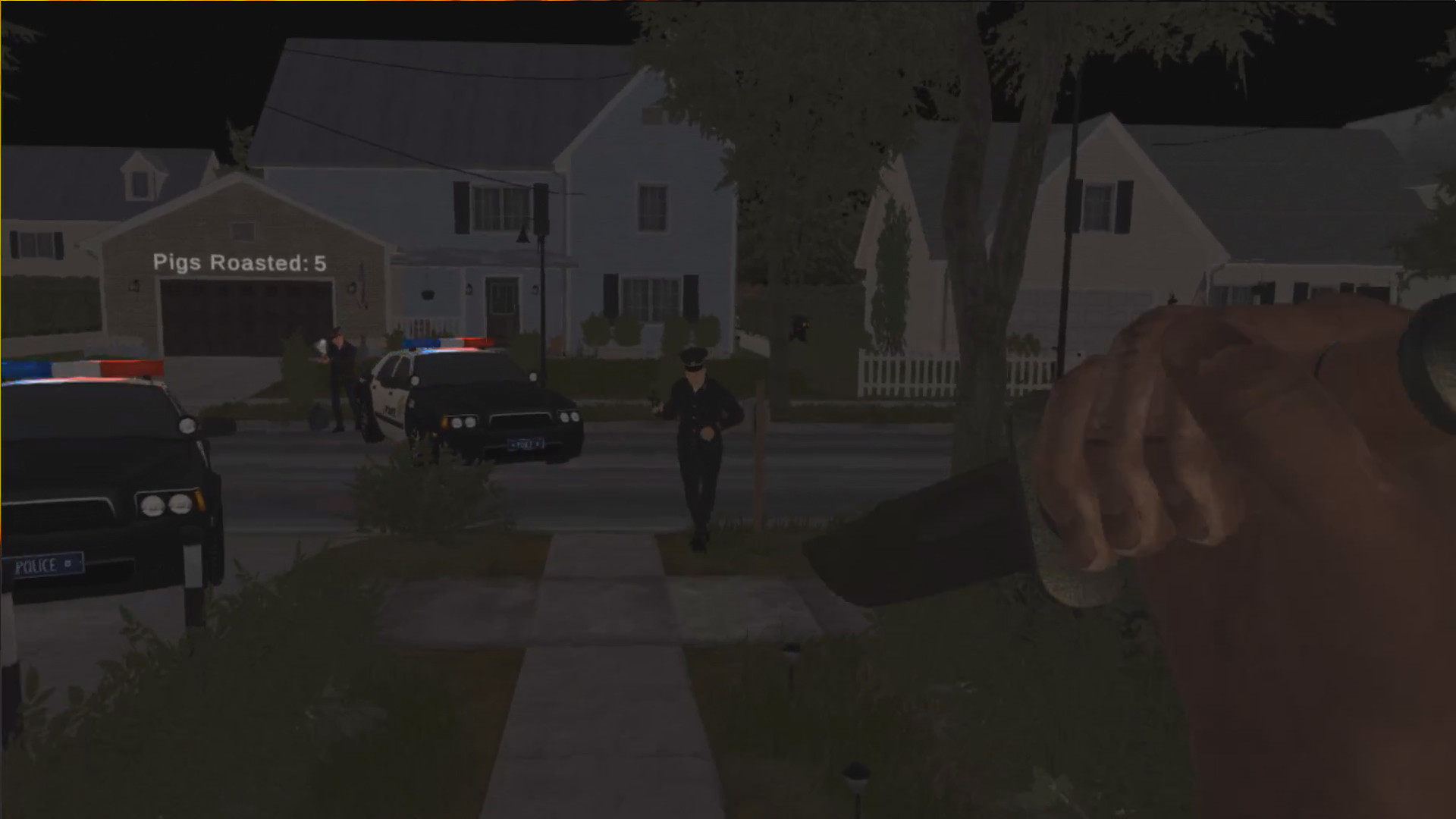 Tyrone vs Cops VR