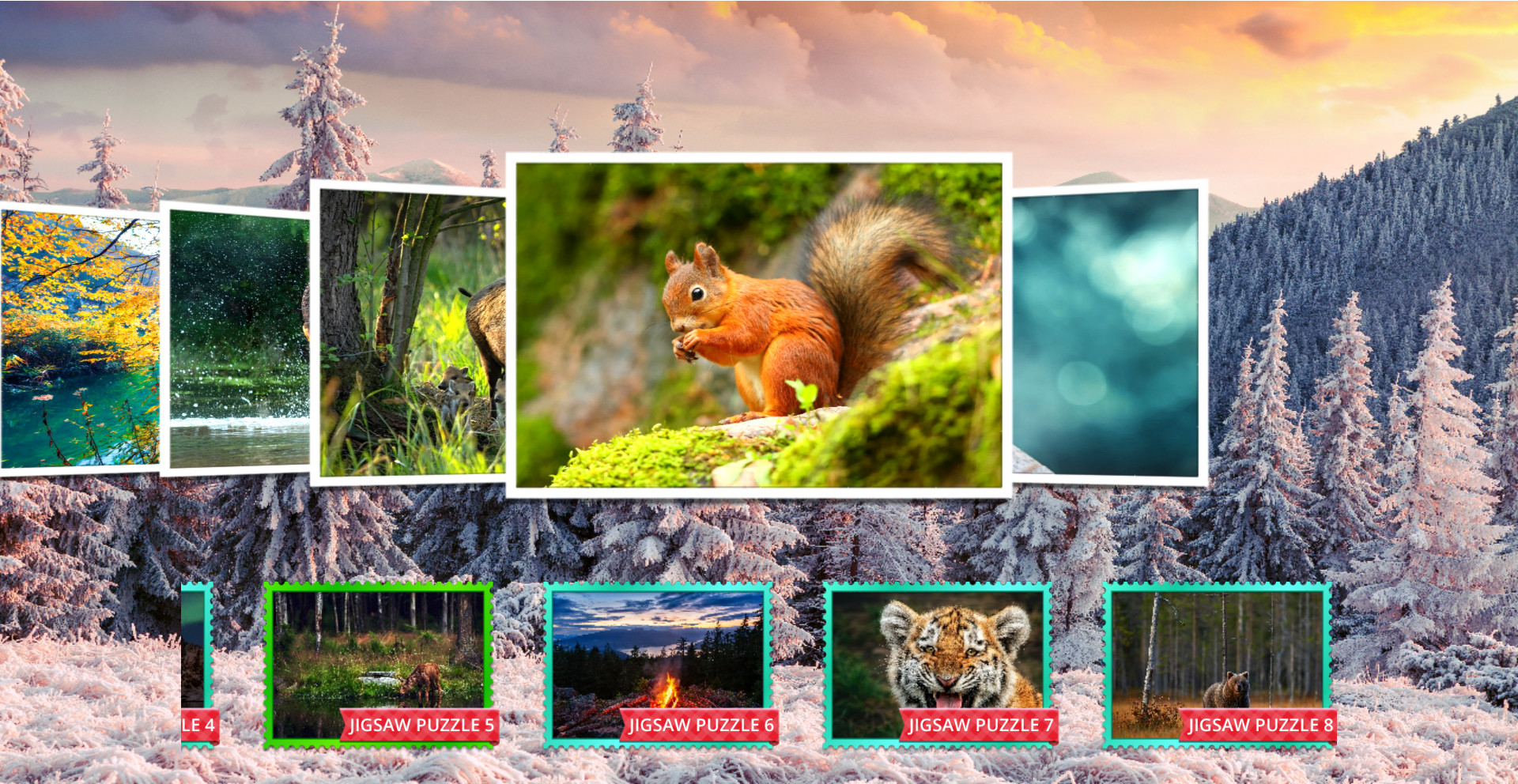 Nature &amp; Wildlife: Jigsaw Puzzle