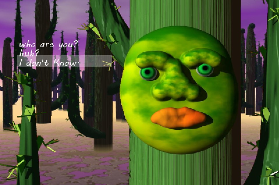 A True Western Romance