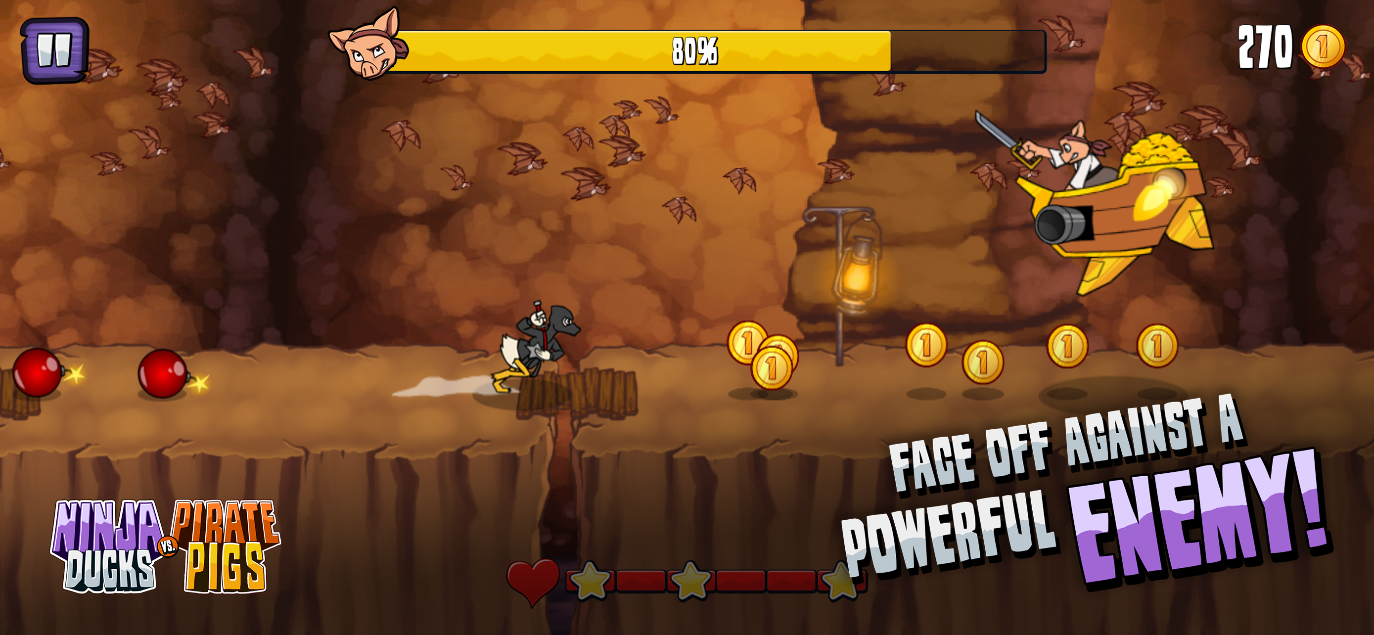 Ninja Ducks vs Pirate Pigs