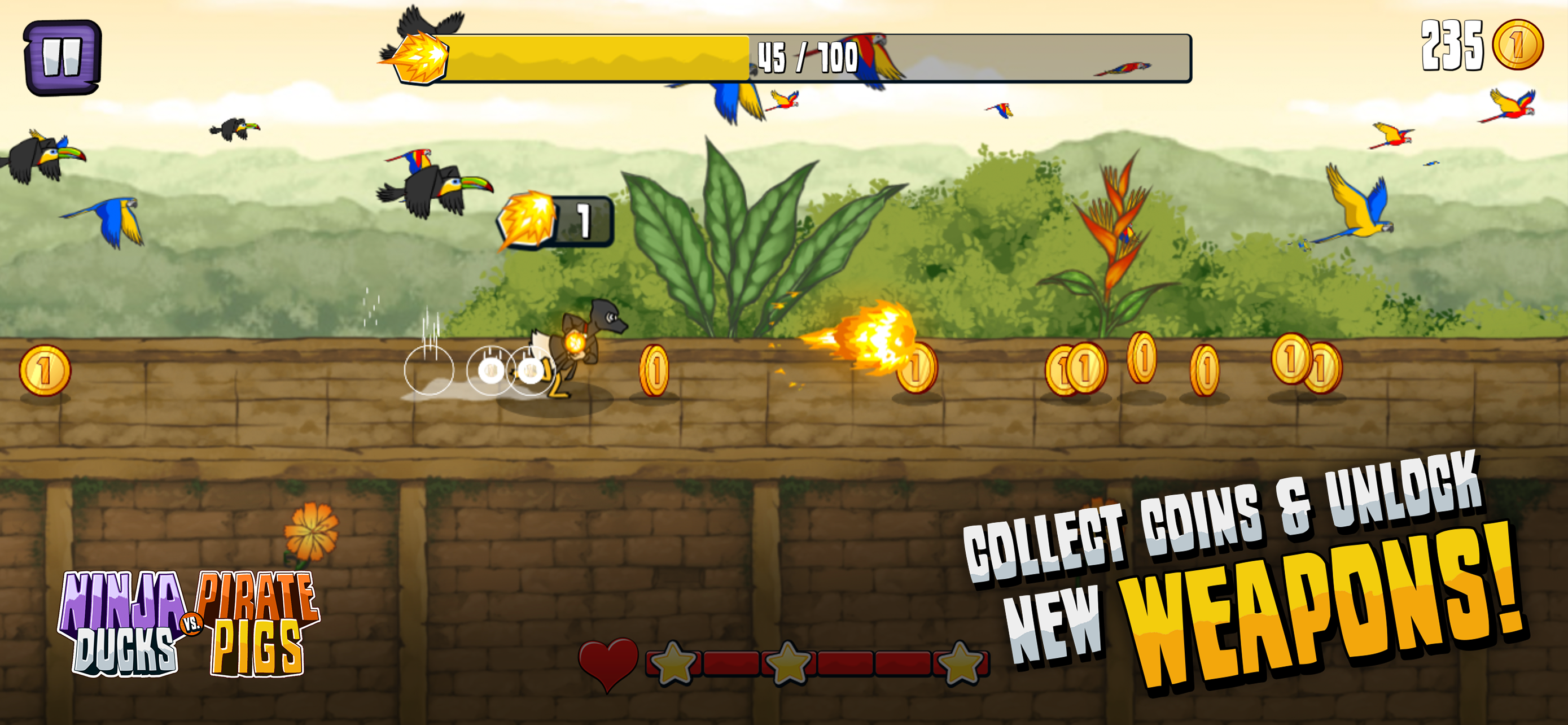 Ninja Ducks vs Pirate Pigs