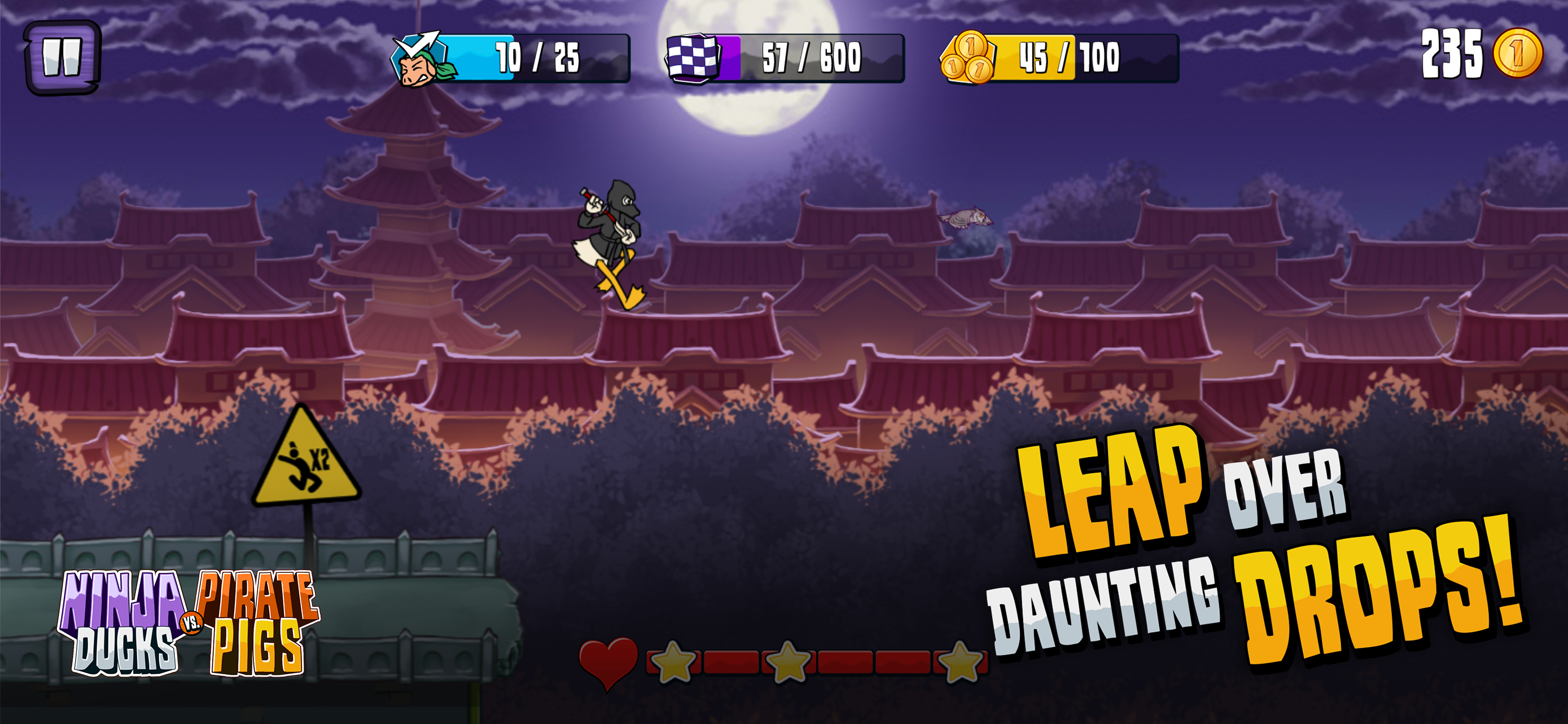 Ninja Ducks vs Pirate Pigs
