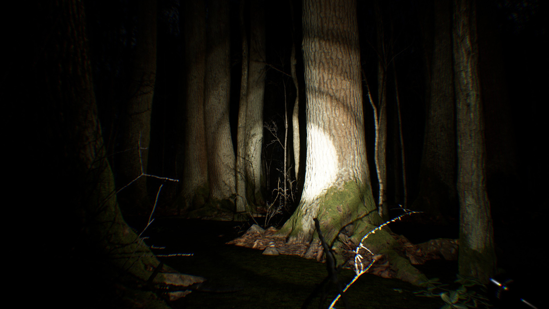 Search 4 Bigfoot