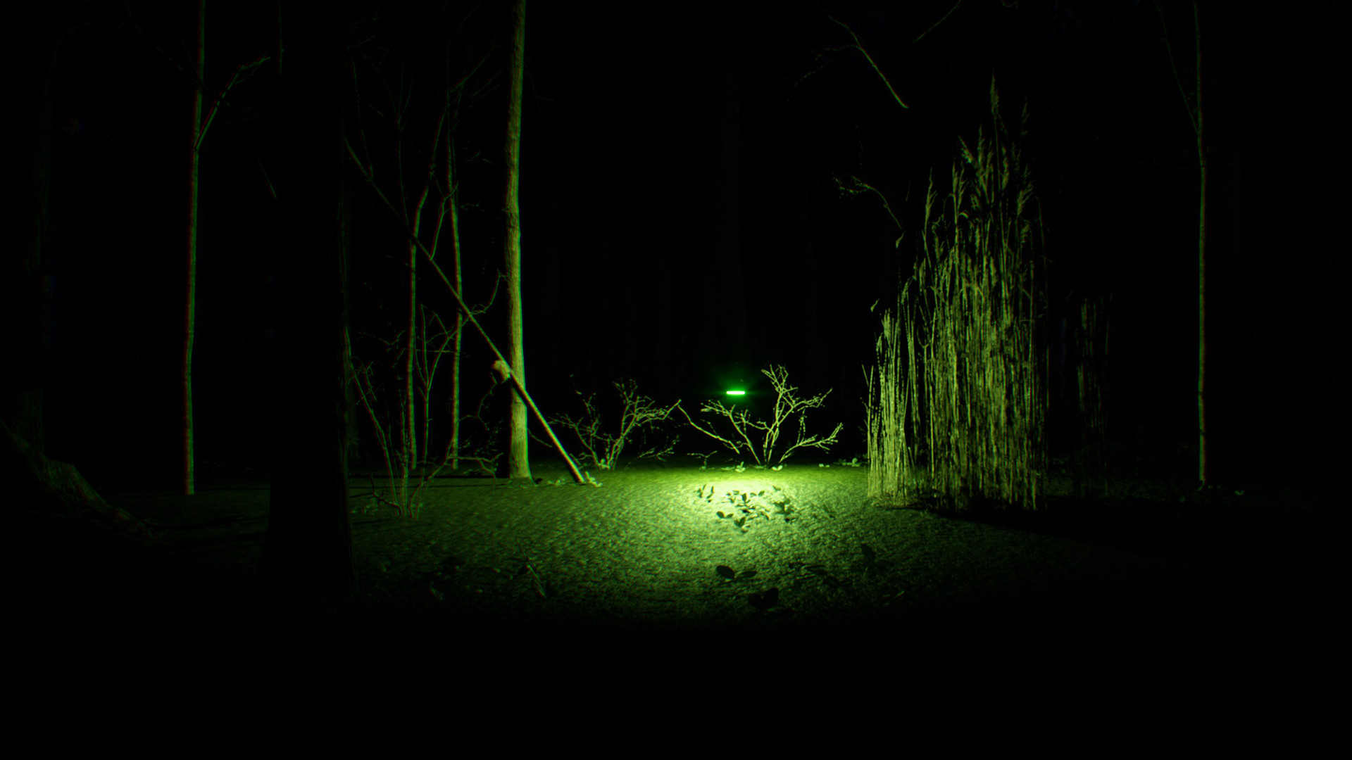 Search 4 Bigfoot