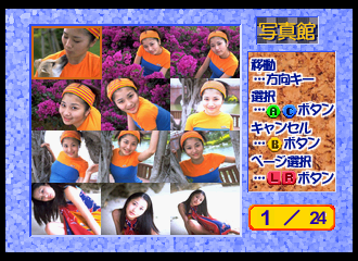 Private Idol Disc Vol. 11: Mayumi Hirose