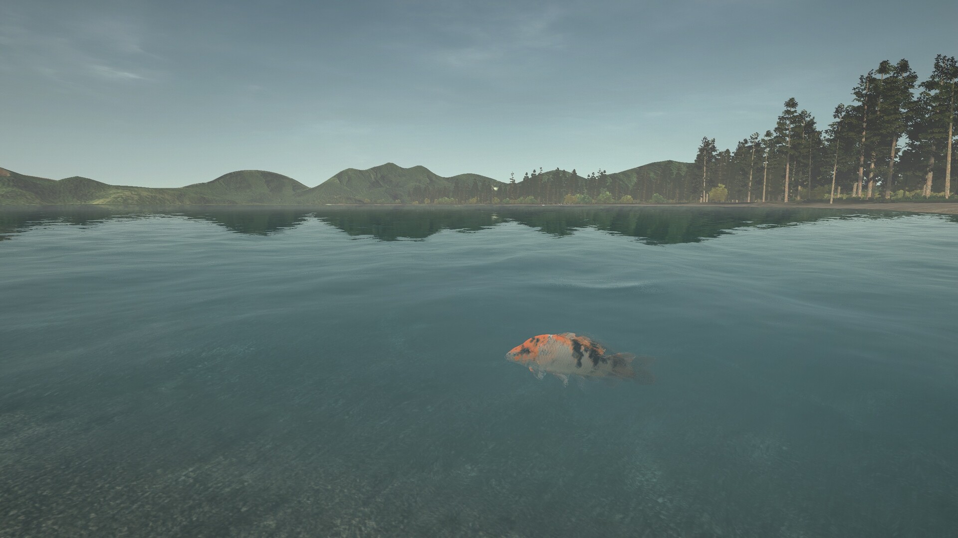 Ultimate Fishing Simulator: Taupo Lake