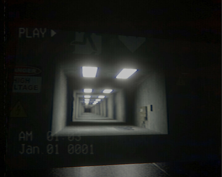 Backrooms VHS