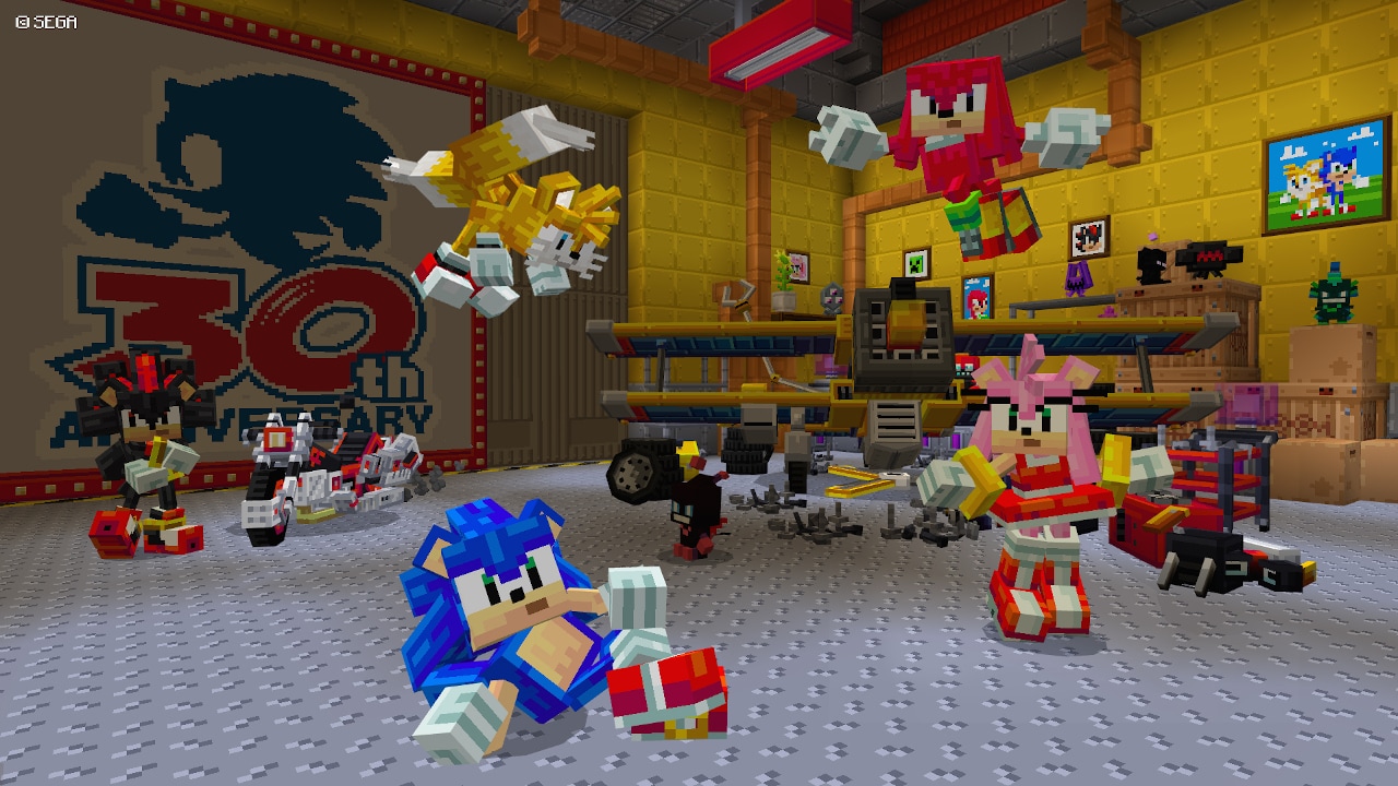 Minecraft: Sonic the Hedgehog
