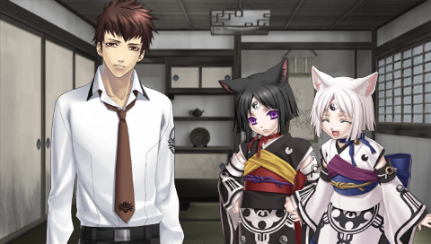 Shin Hisui no Shizuku: Hiiro no Kakera 2 Portable