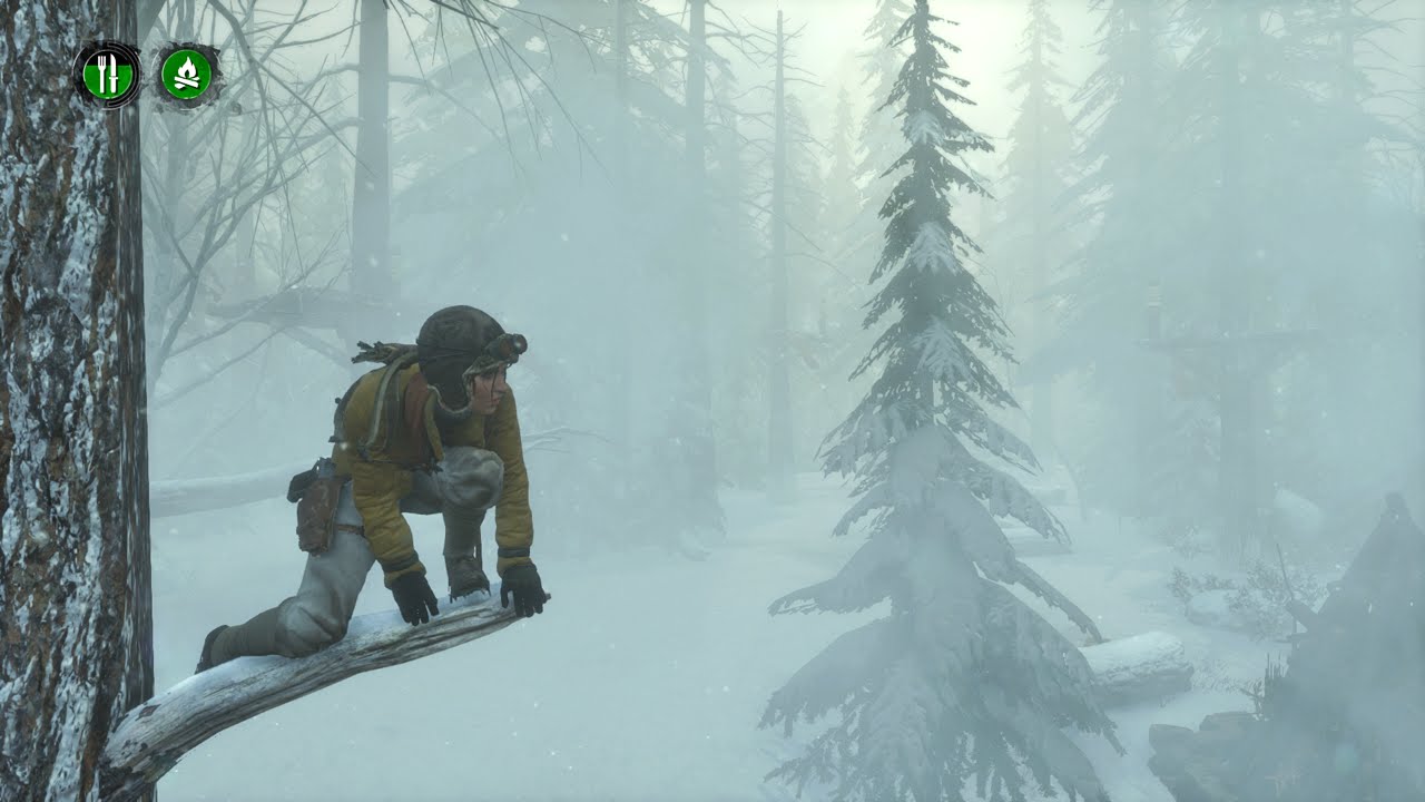 Rise of the Tomb Raider: Endurance Mode