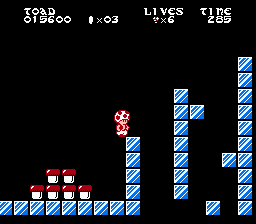 Toad’s Christmas Adventure