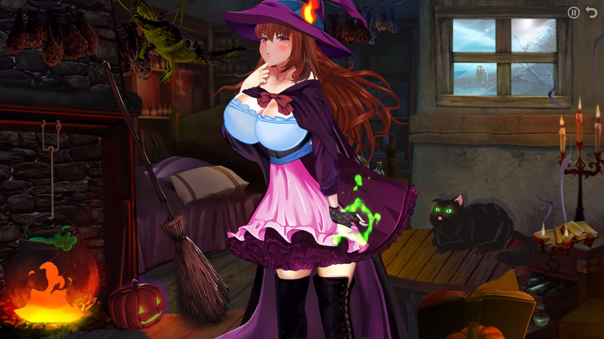 Witch Story