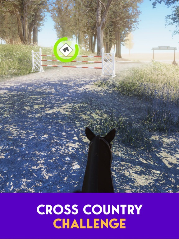 Real Horse 3D