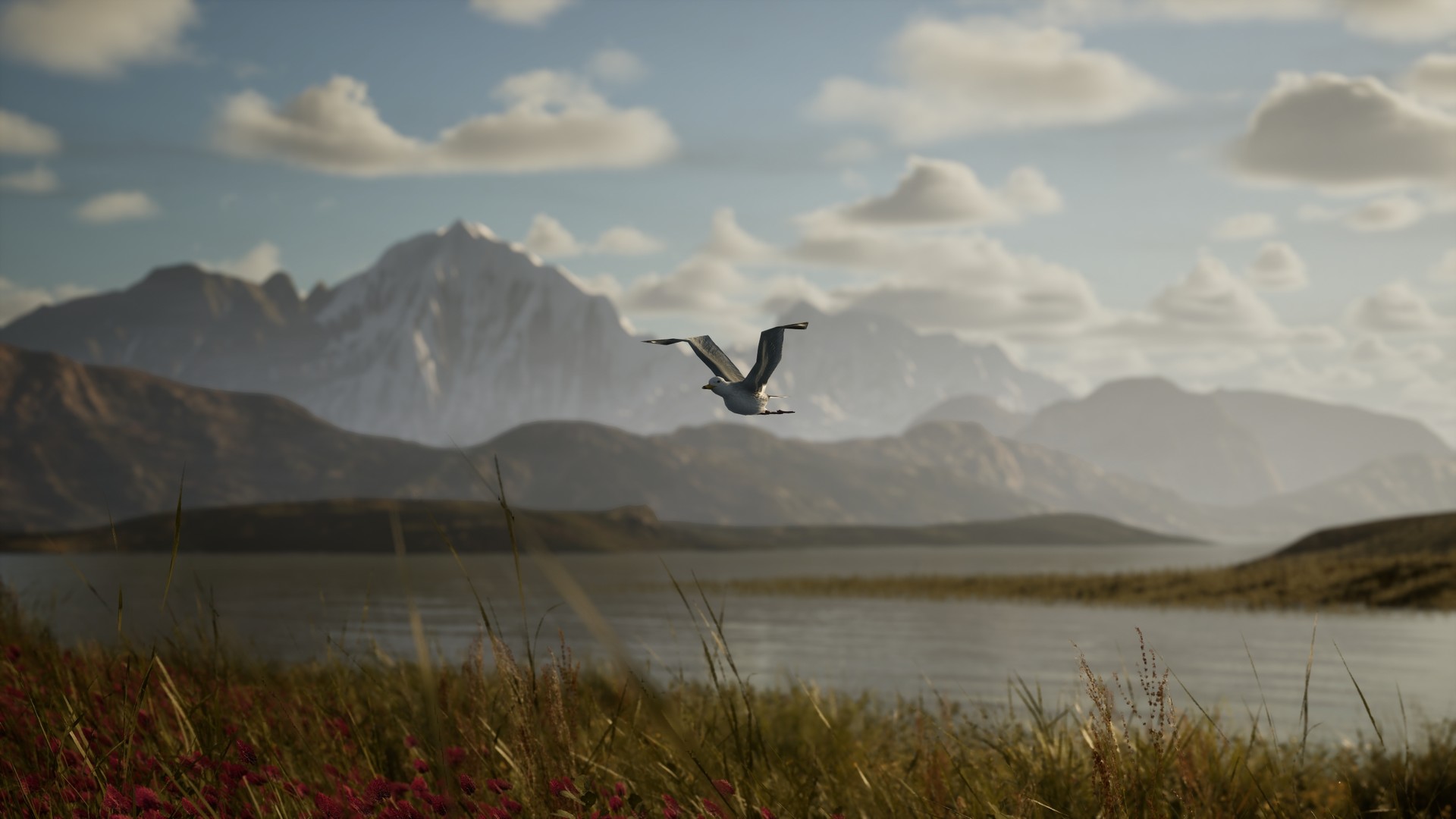 Photography Simulator