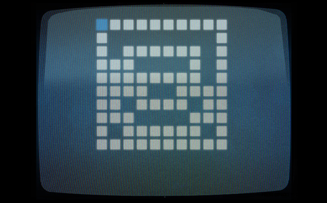 On the Peril of Parrots