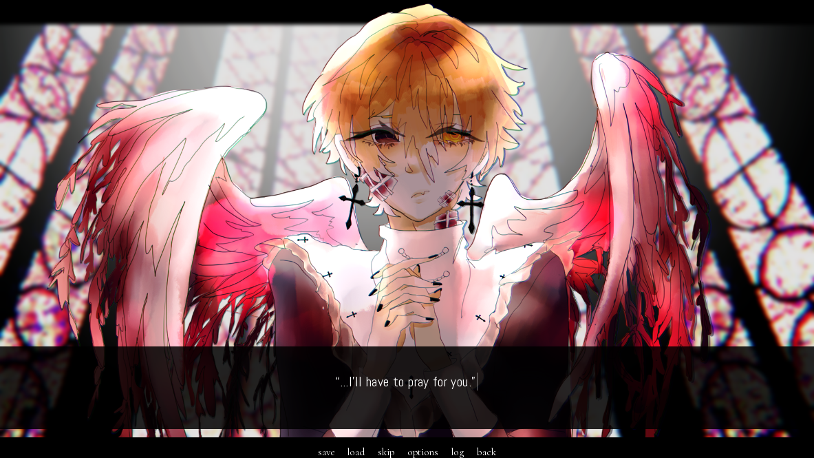 A Portrait of Feathers