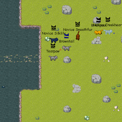 Warrior Cats: Untold Tales