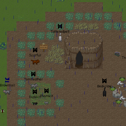 Warrior Cats: Untold Tales