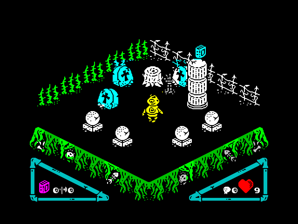 Zoinho in the Garden of Fools