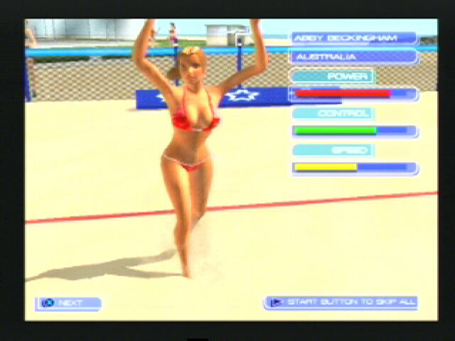 Summer Heat Beach Volleyball