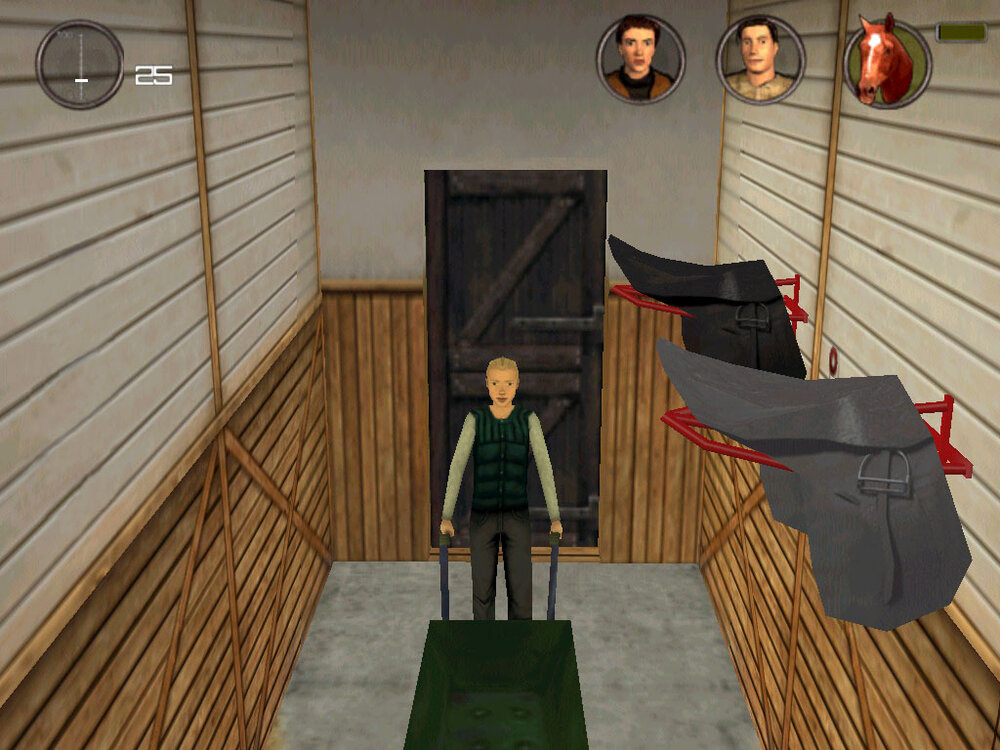 Riding Champion: Legacy of Rosemond Hill