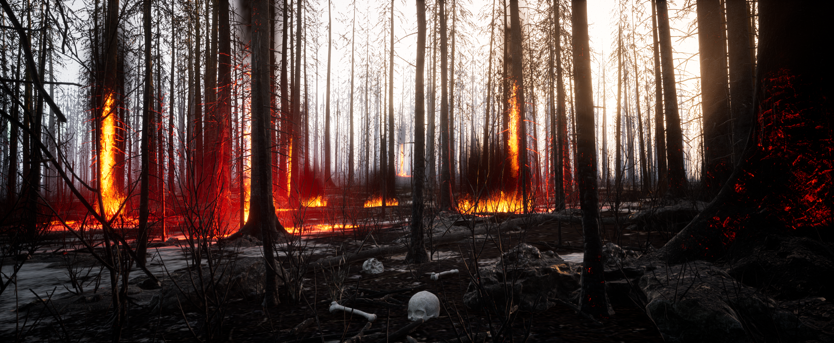 Skye: The Misty Isle