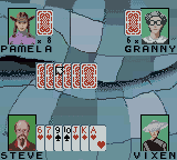 Hoyle Card Games