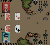 Hoyle Card Games