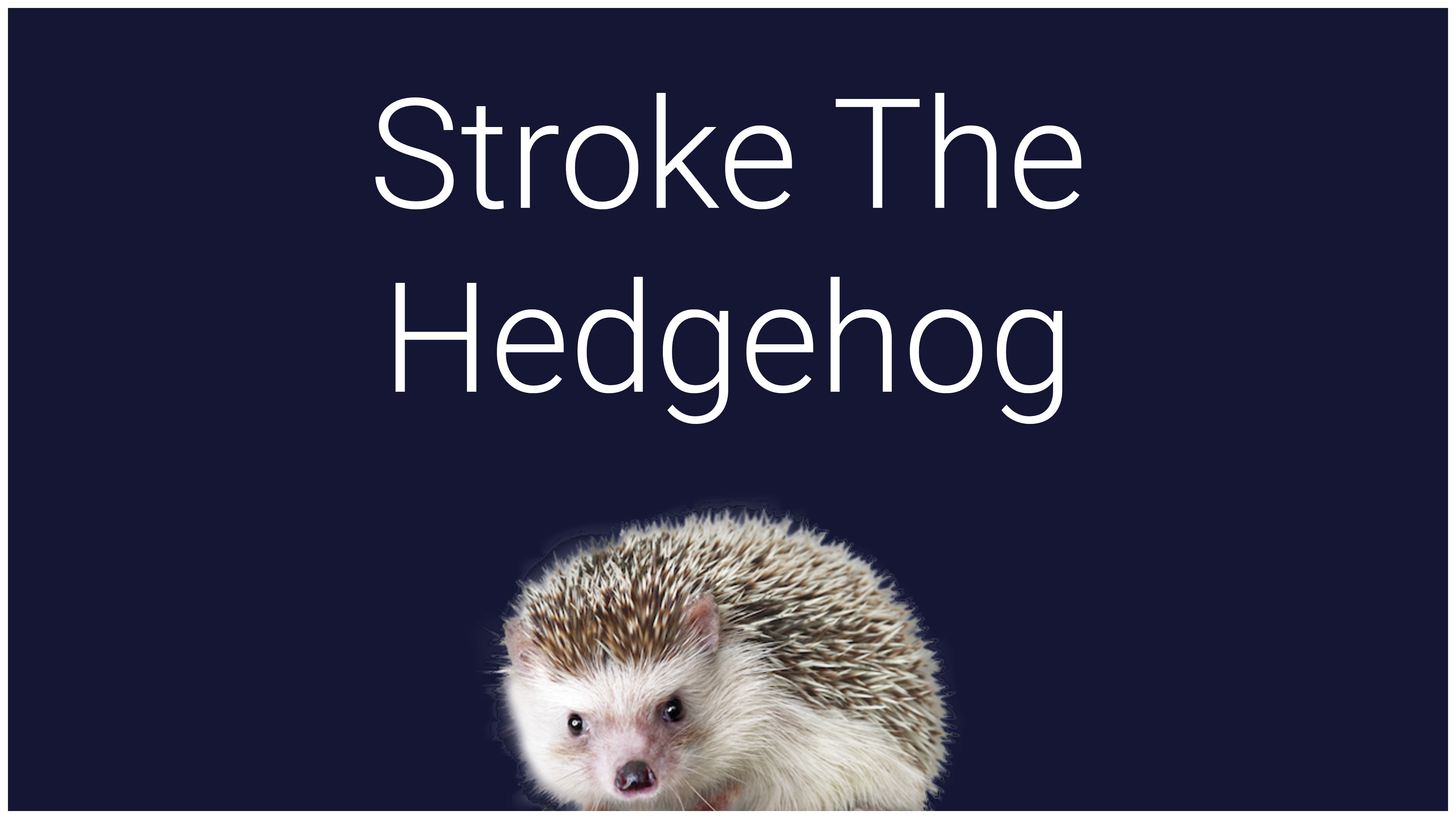 Stroke the Hedgehog