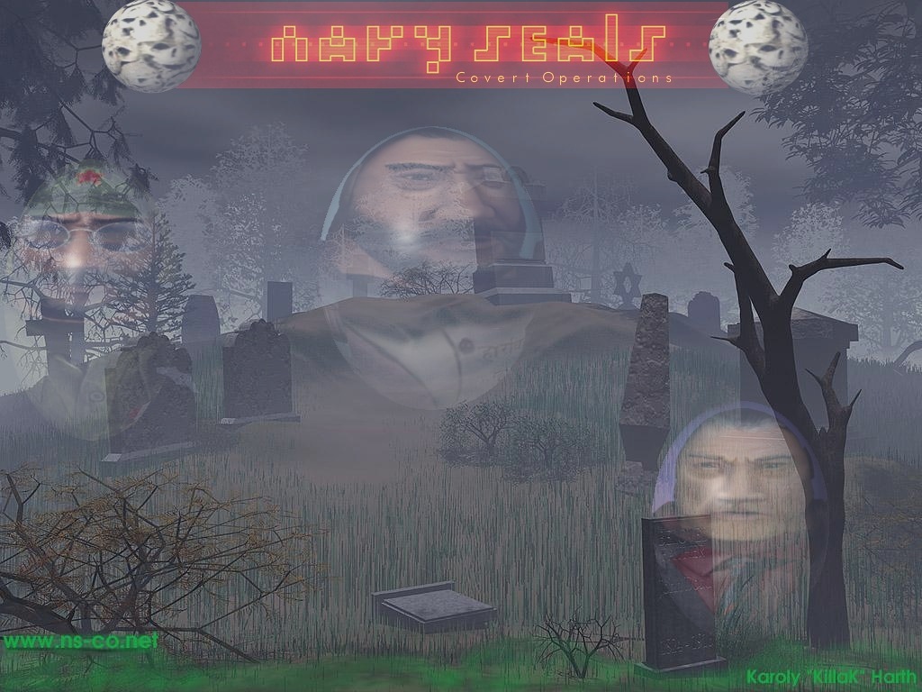 Navy SEALs: Covert Operations