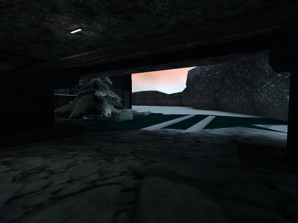 Navy SEALs: Covert Operations