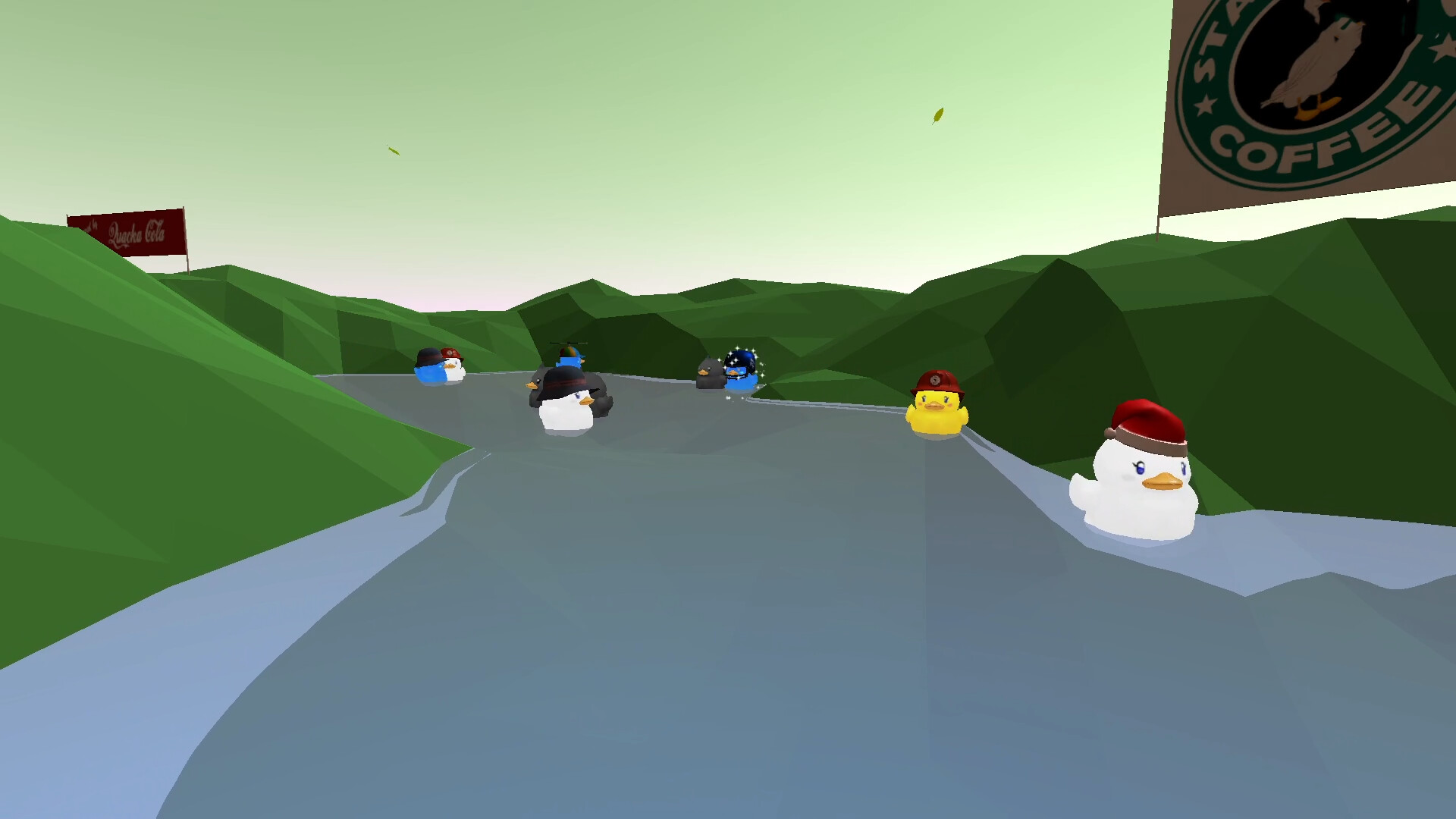 Duck Race