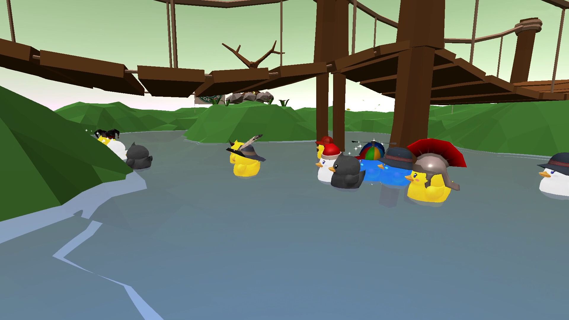 Duck Race