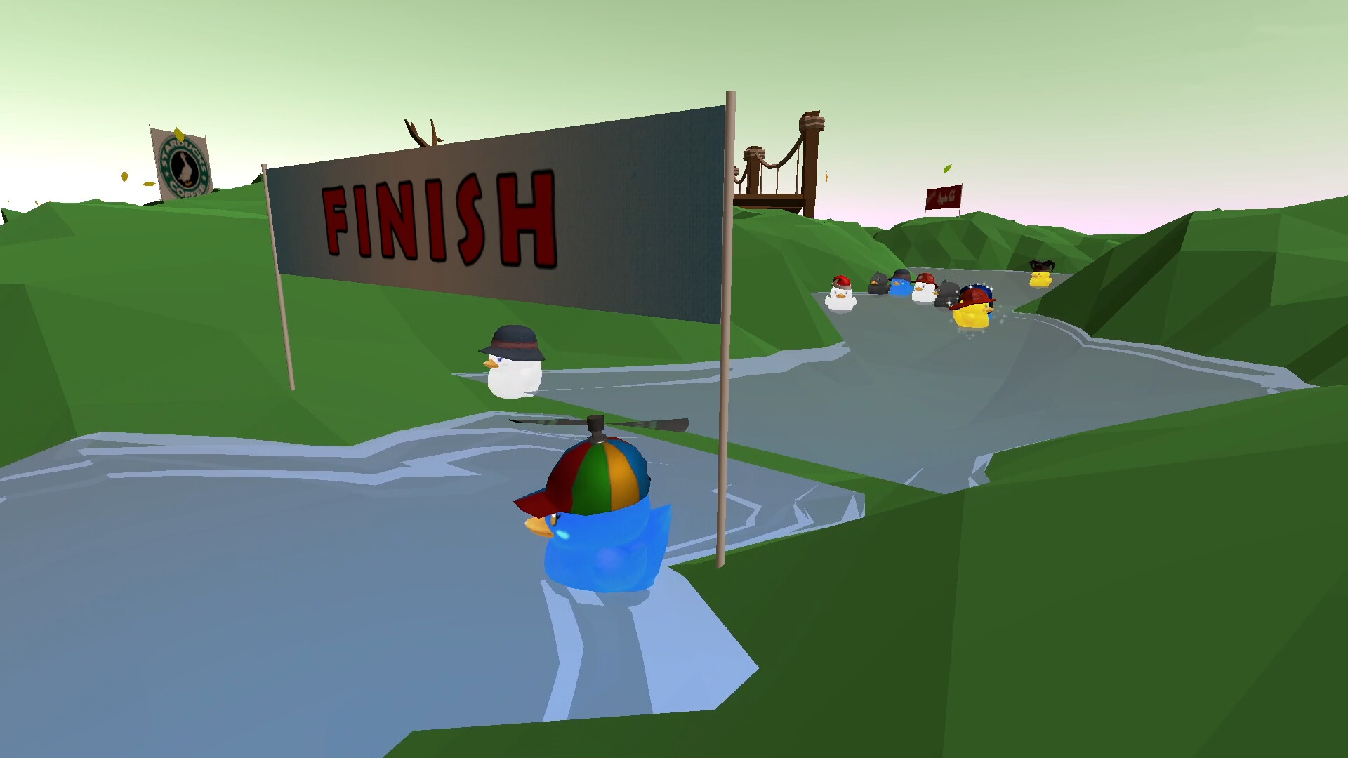 Duck Race