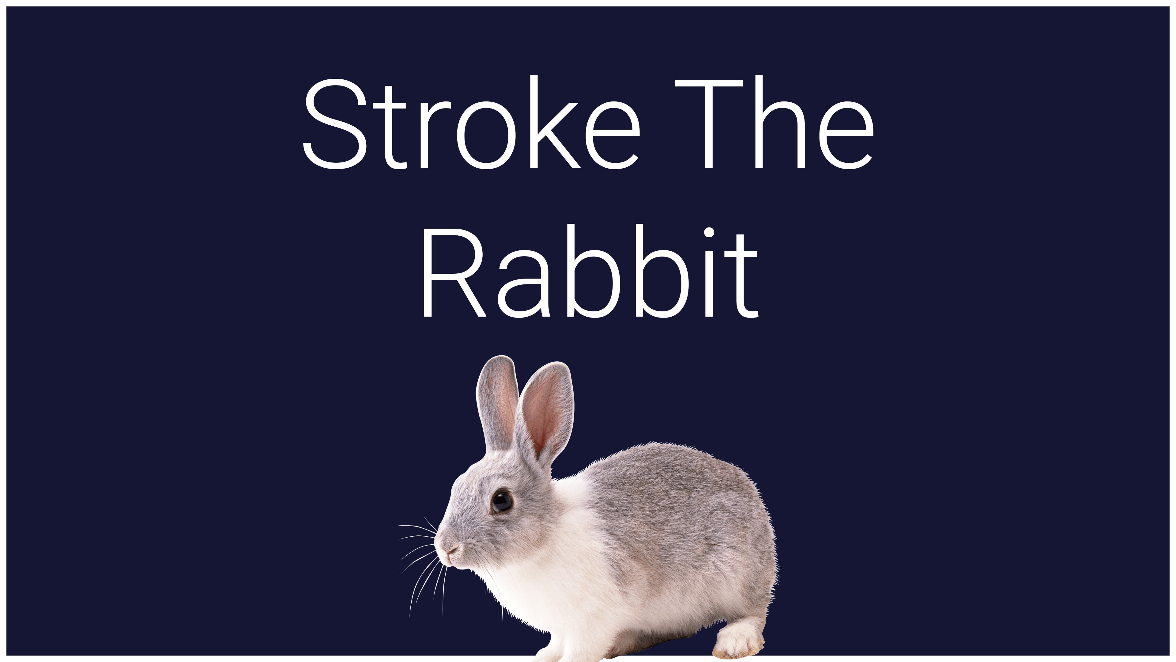 Stroke the Rabbit