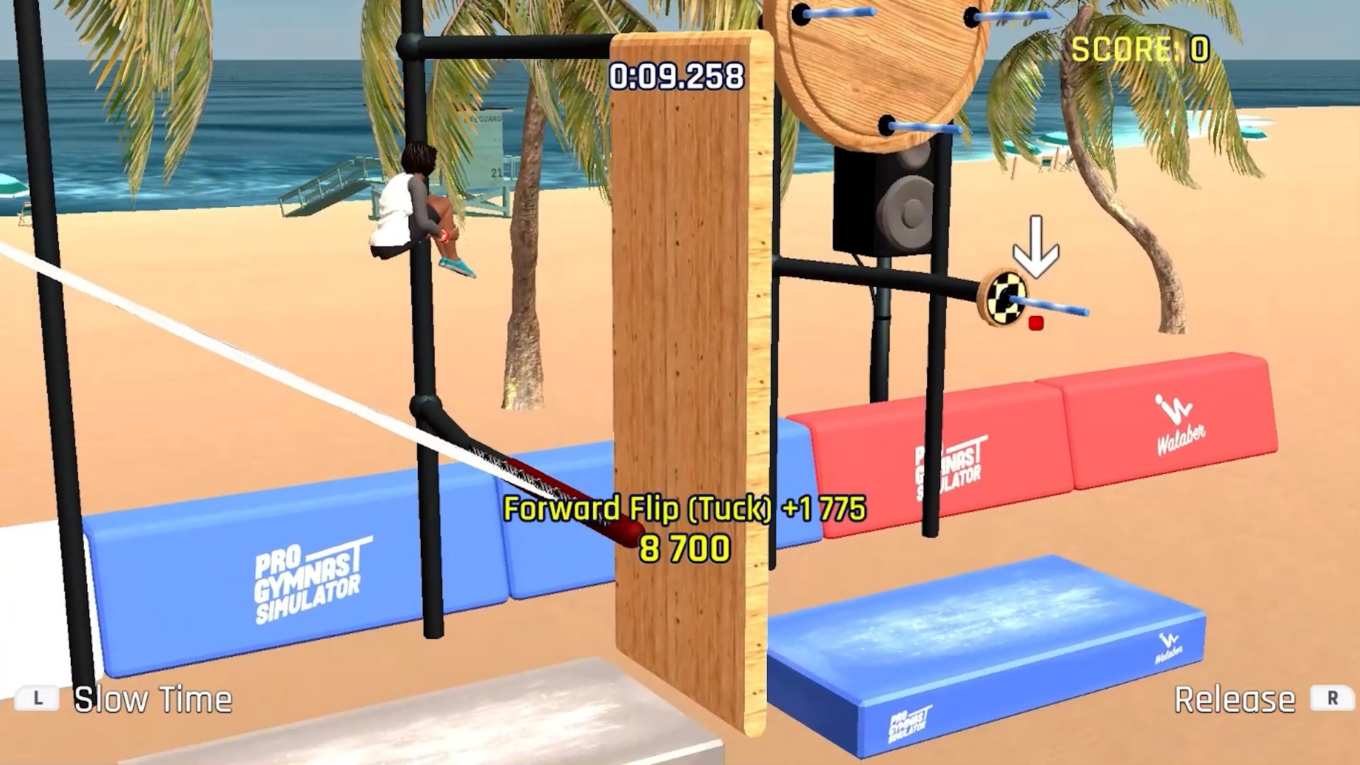 Pro Gymnast Simulator + Brawl Chess