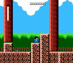 Mega Man: The New Lands