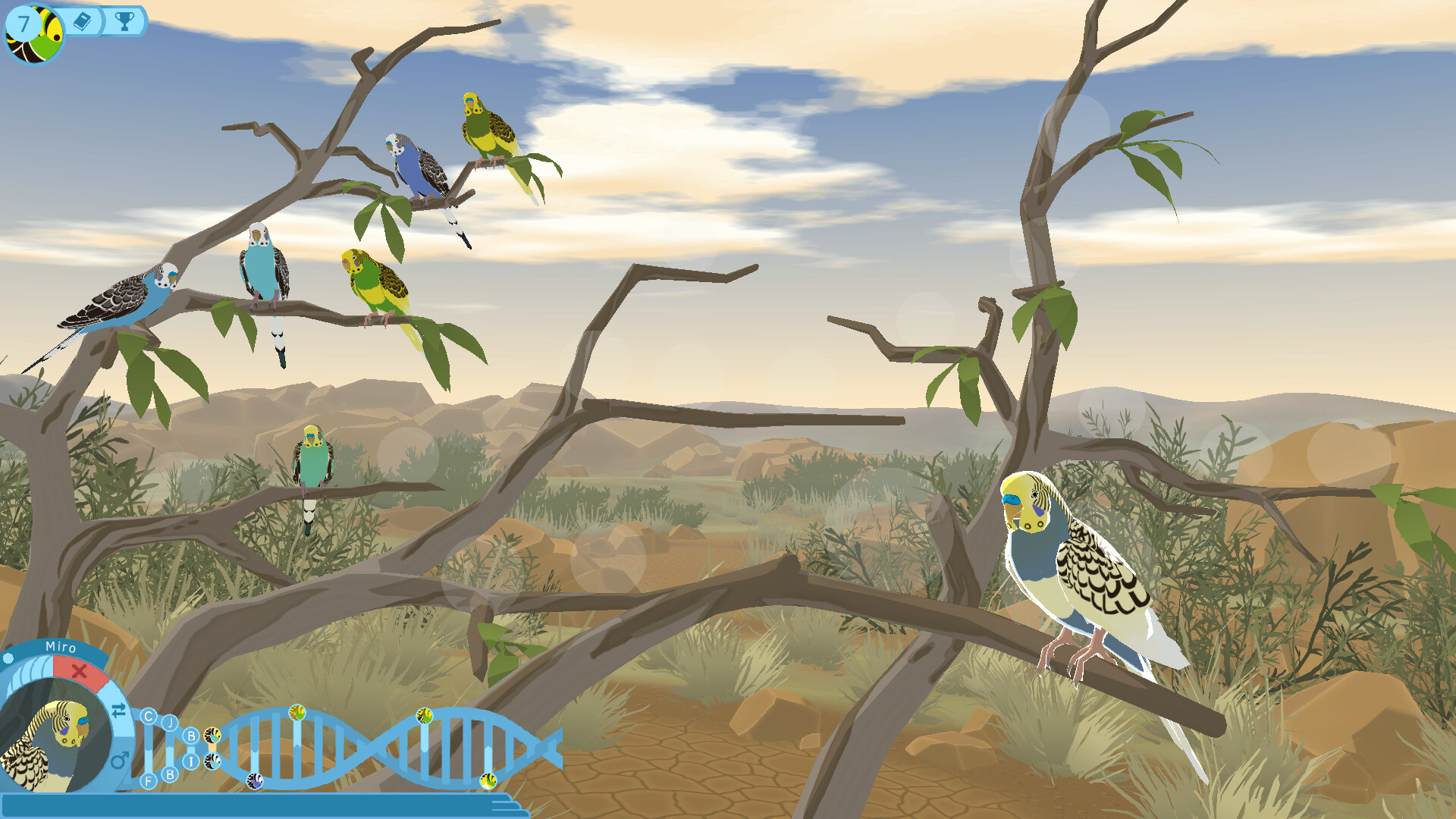 Budgie Genetics Simulator