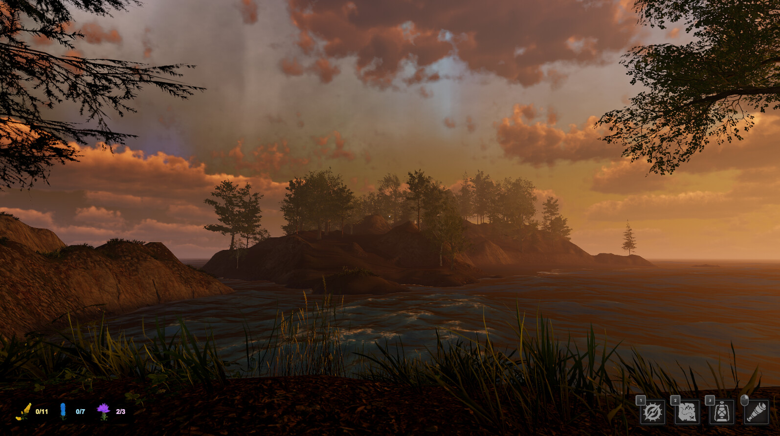 Wild Isles