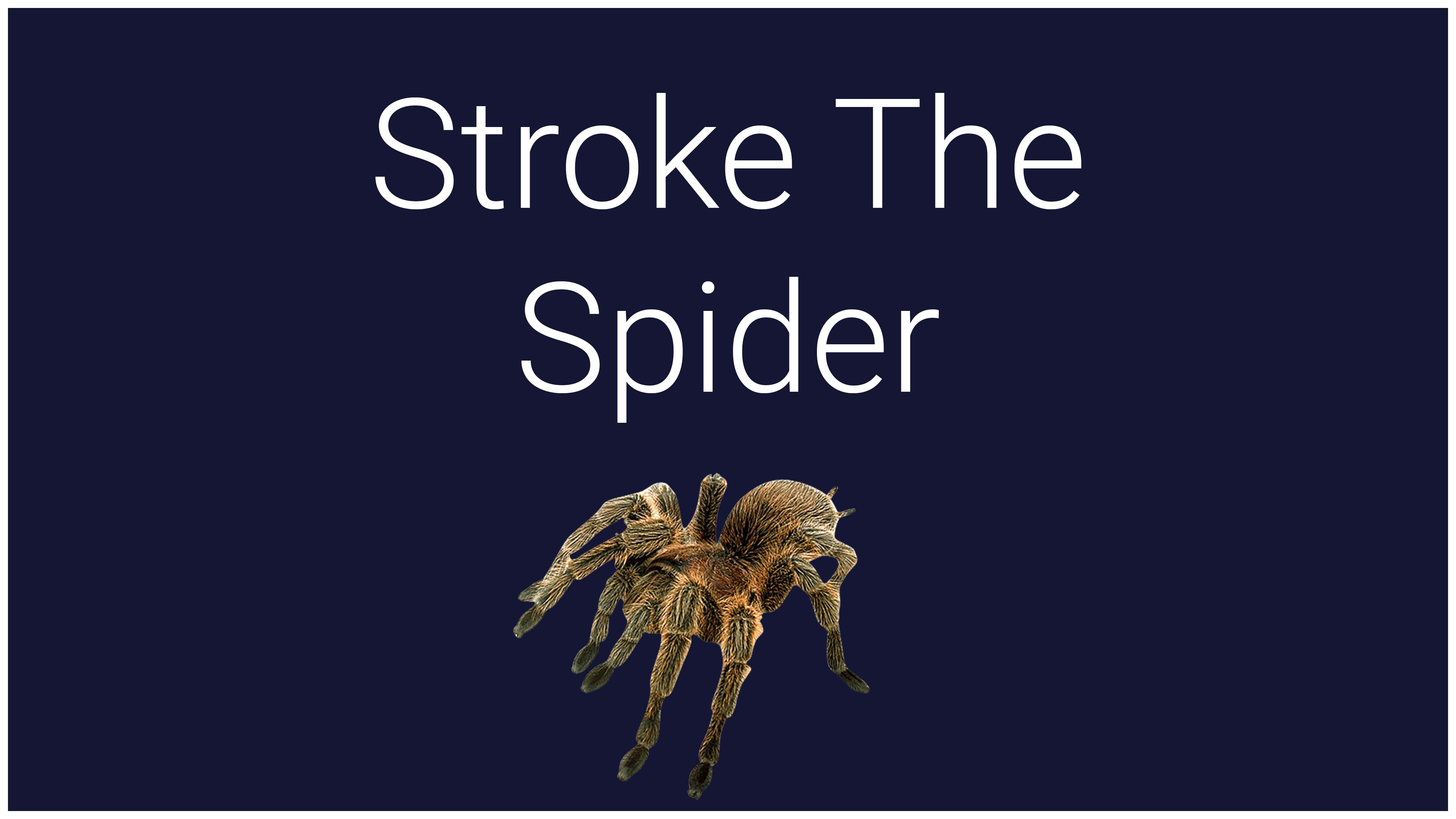Stroke the Spider