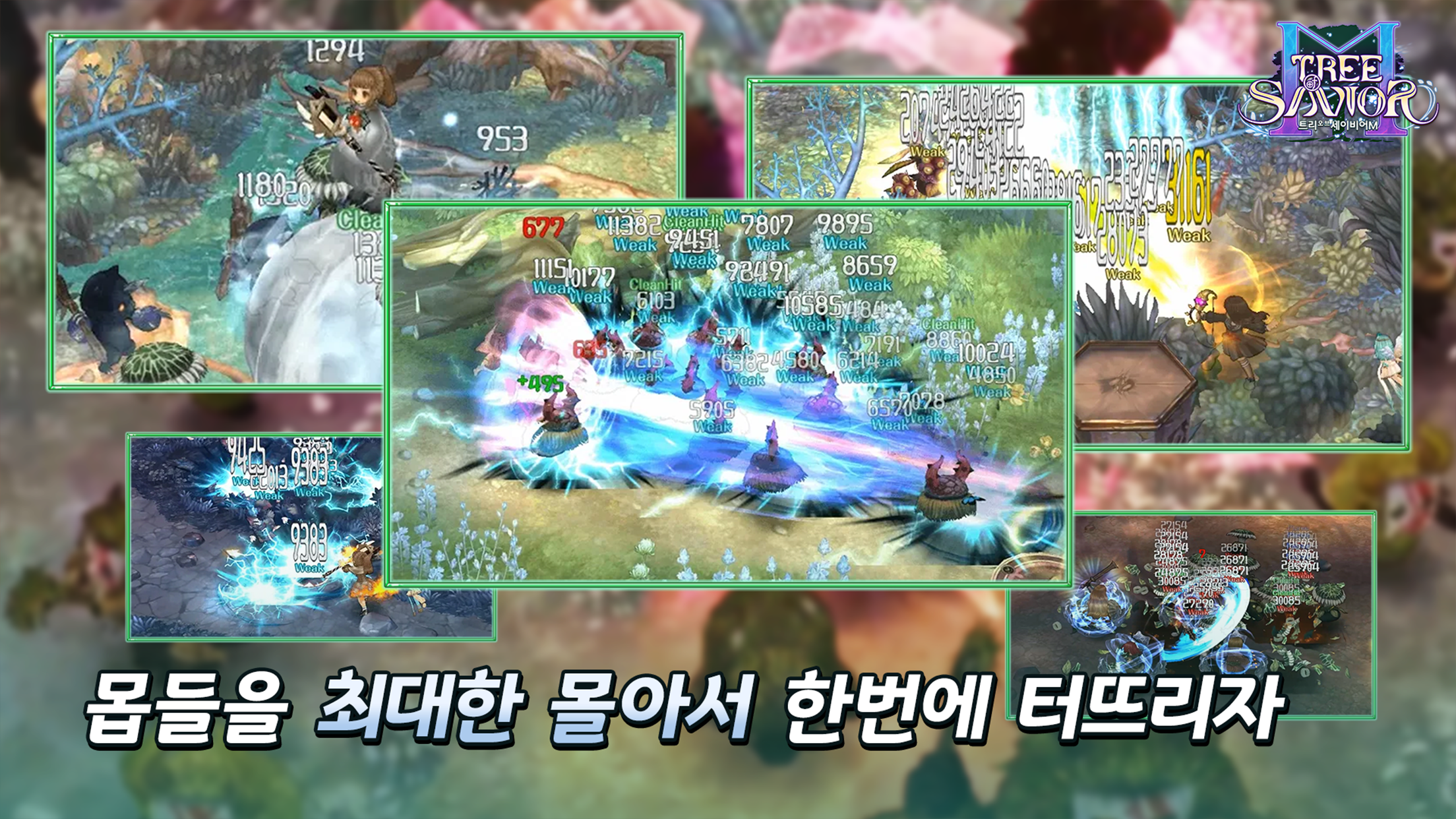 Tree of Savior M