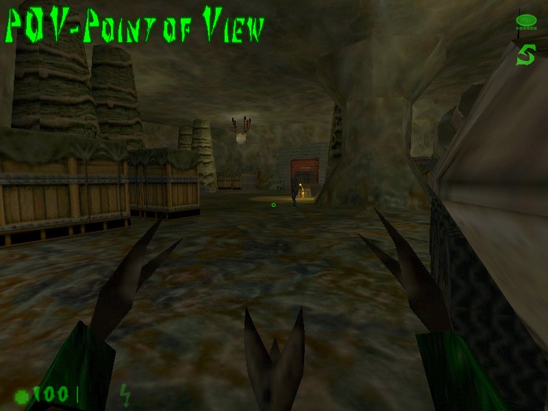 Point of View