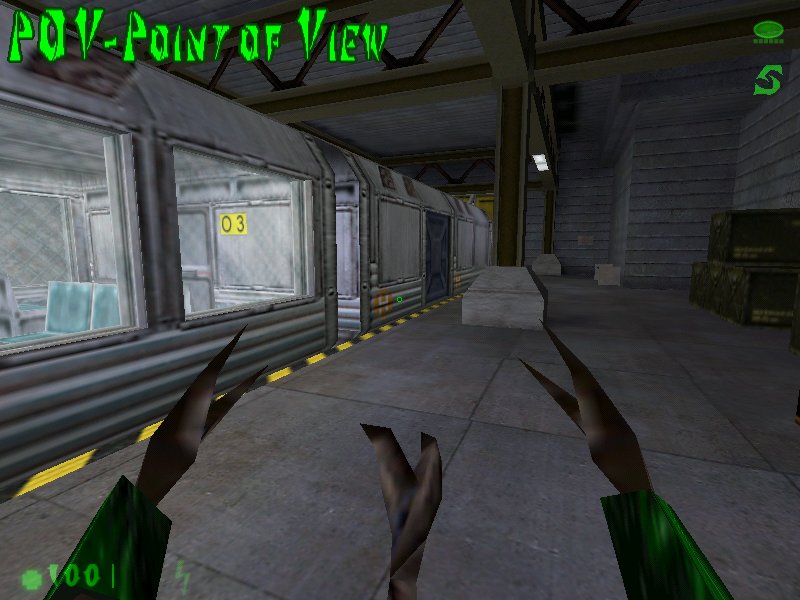 Point of View
