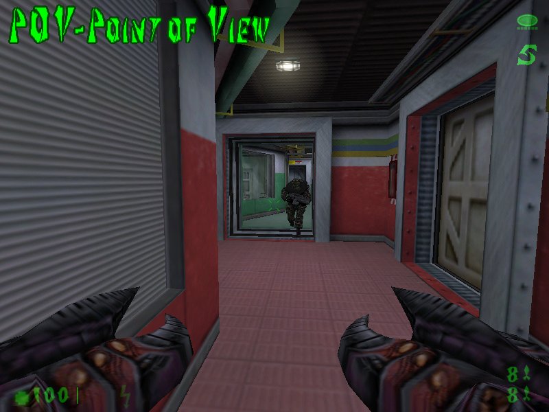Point of View