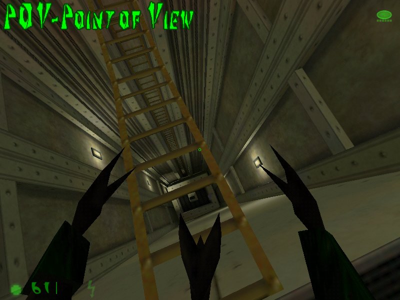 Point of View